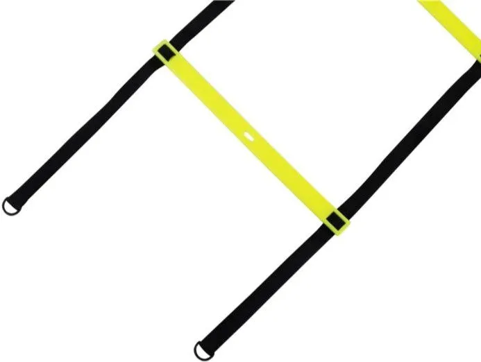 Simple Rhythmic Ladder - Keeping Kids active